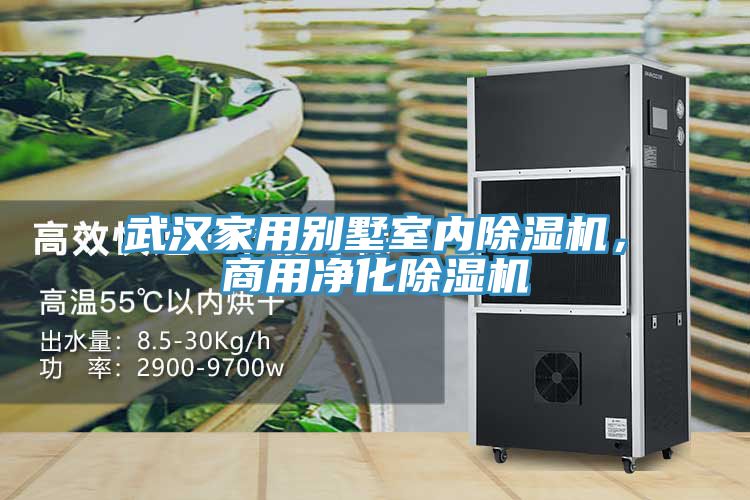 武汉家用别墅室内除湿机，商用净化除湿机