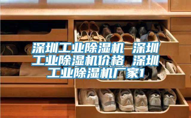 深圳工业除湿机 深圳工业除湿机价格 深圳工业除湿机厂家1