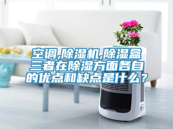 空调,除湿机,除湿盒三者在除湿方面各自的优点和缺点是什么？