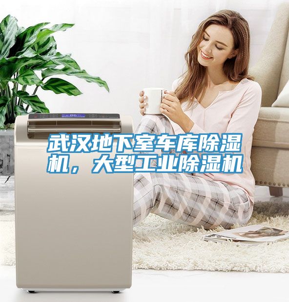 武汉地下室车库除湿机，大型工业除湿机
