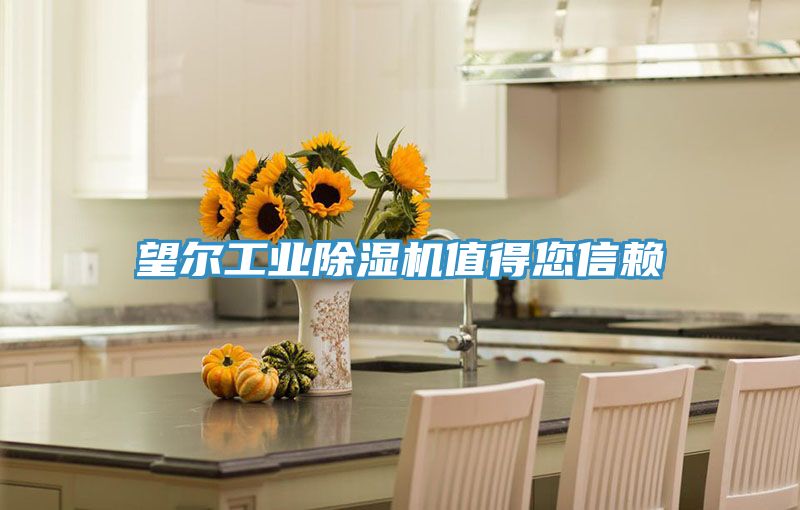 望尔工业除湿机值得您信赖