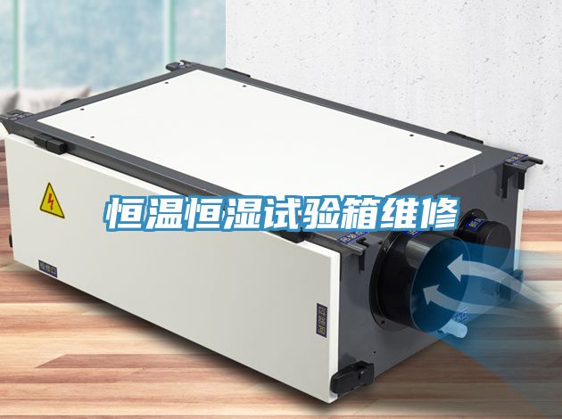 恒温恒湿试验箱维修
