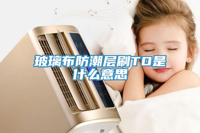 玻璃布防潮层刷TO是什么意思