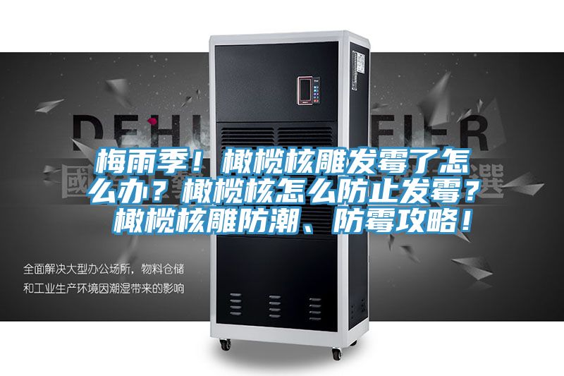梅雨季！橄榄核雕发霉了怎么办？橄榄核怎么防止发霉？ 橄榄核雕防潮、防霉攻略！