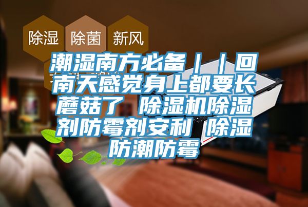 潮湿南方必备｜｜回南天感觉身上都要长蘑菇了 除湿机除湿剂防霉剂安利 除湿防潮防霉
