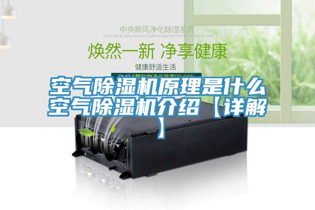 空气除湿机原理是什么空气除湿机介绍【详解】