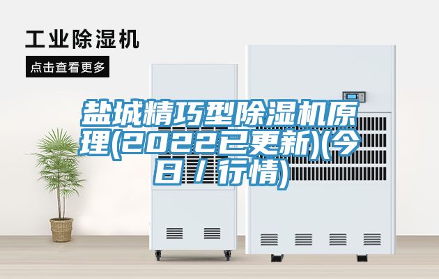 盐城精巧型除湿机原理(2022已更新)(今日／行情)