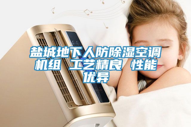盐城地下人防除湿空调机组 工艺精良 性能优异