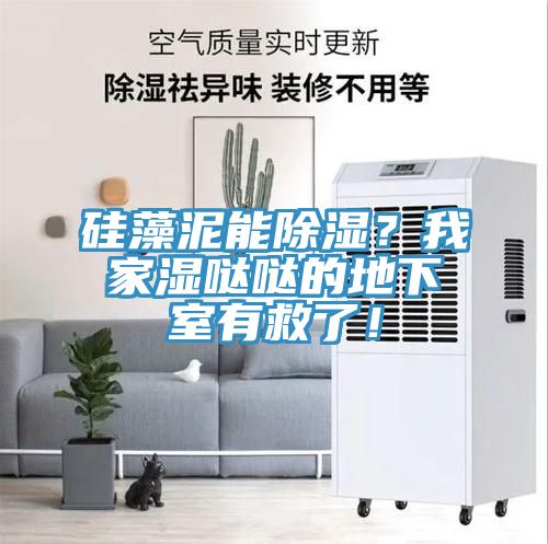 硅藻泥能除湿？我家湿哒哒的地下室有救了！