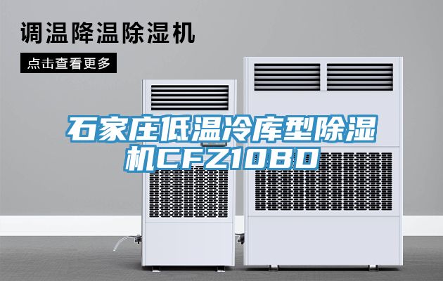 石家庄低温冷库型除湿机CFZ10BD
