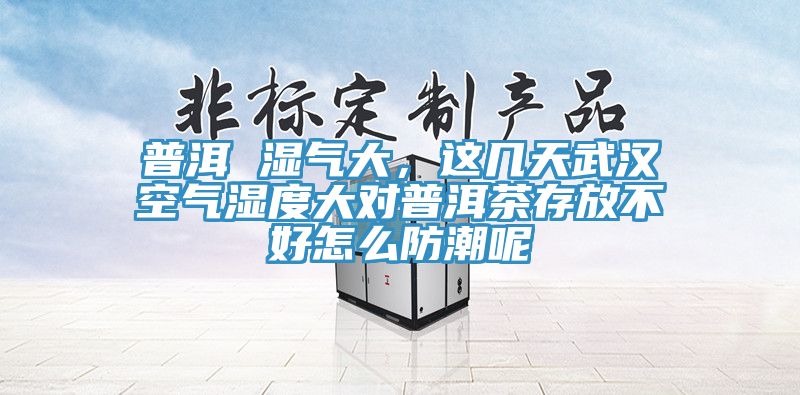 普洱 湿气大，这几天武汉空气湿度大对普洱茶存放不好怎么防潮呢
