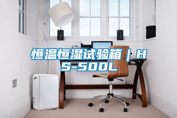 恒温恒湿试验箱｜HS-500L