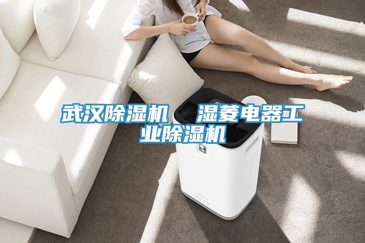 武汉除湿机  湿菱电器工业除湿机