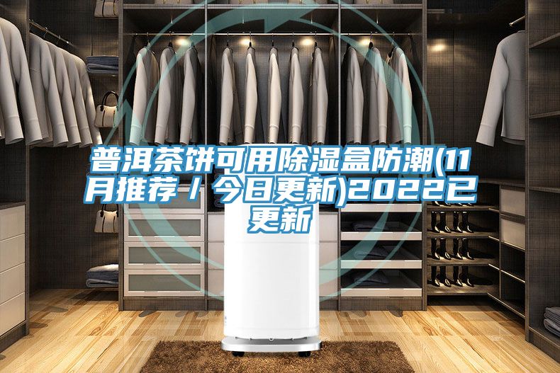 普洱茶饼可用除湿盒防潮(11月推荐／今日更新)2022已更新