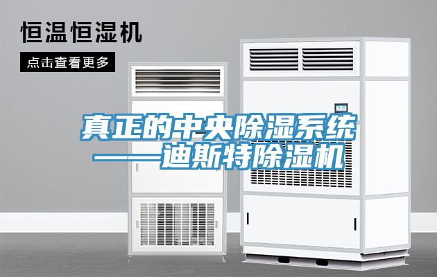 真正的中央除湿系统——迪斯特除湿机