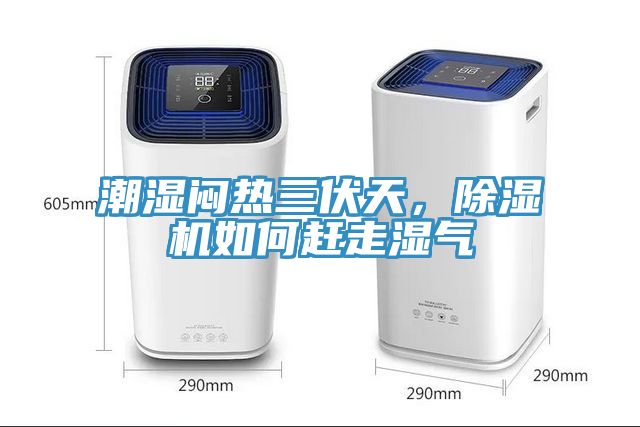 潮湿闷热三伏天，除湿机如何赶走湿气