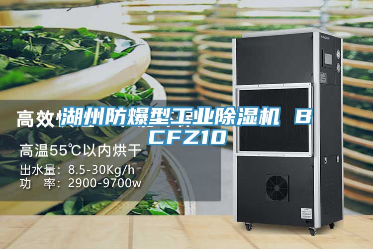 湖州防爆型工业除湿机 BCFZ10