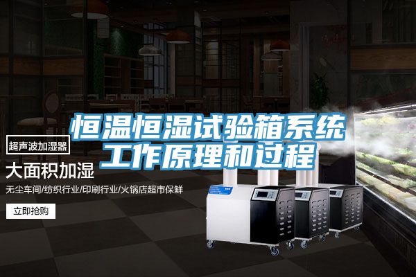 恒温恒湿试验箱系统工作原理和过程