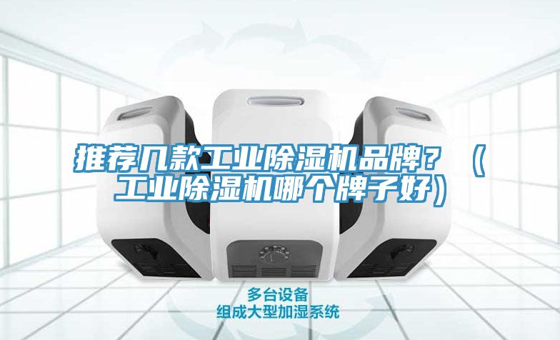 推荐几款工业除湿机品牌？（工业除湿机哪个牌子好）