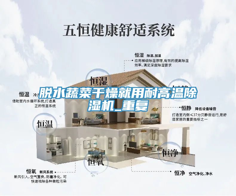 脱水蔬菜干燥就用耐高温除湿机_重复