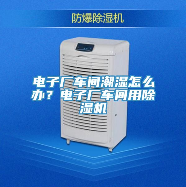 电子厂车间潮湿怎么办？电子厂车间用除湿机