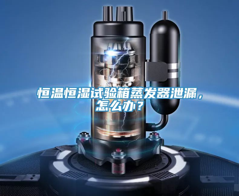 恒温恒湿试验箱蒸发器泄漏，怎么办？
