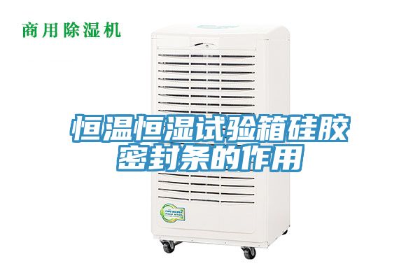恒温恒湿试验箱硅胶密封条的作用