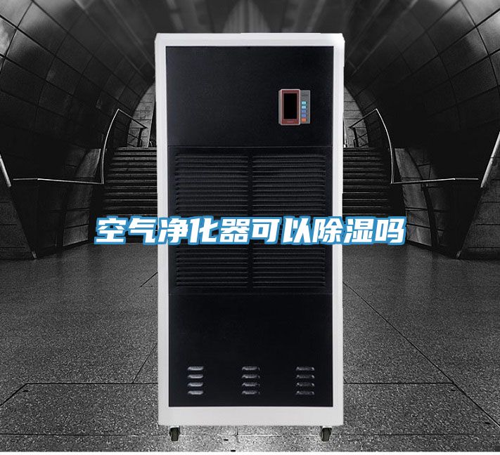 空气净化器可以除湿吗