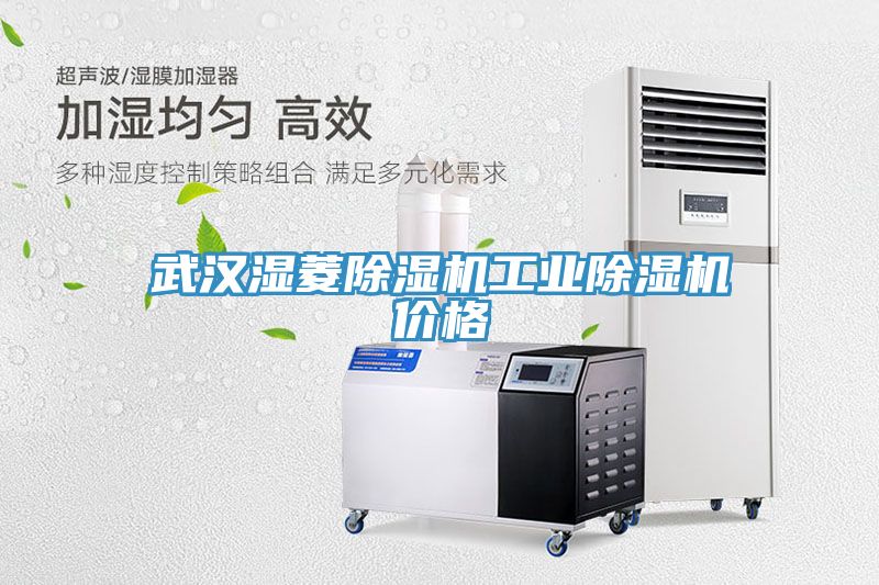 武汉湿菱除湿机工业除湿机价格