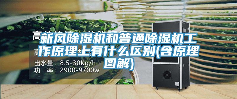 新风除湿机和普通除湿机工作原理上有什么区别(含原理图解)
