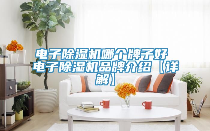电子除湿机哪个牌子好 电子除湿机品牌介绍【详解】