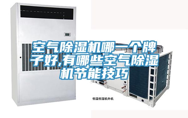 空气除湿机哪一个牌子好,有哪些空气除湿机节能技巧