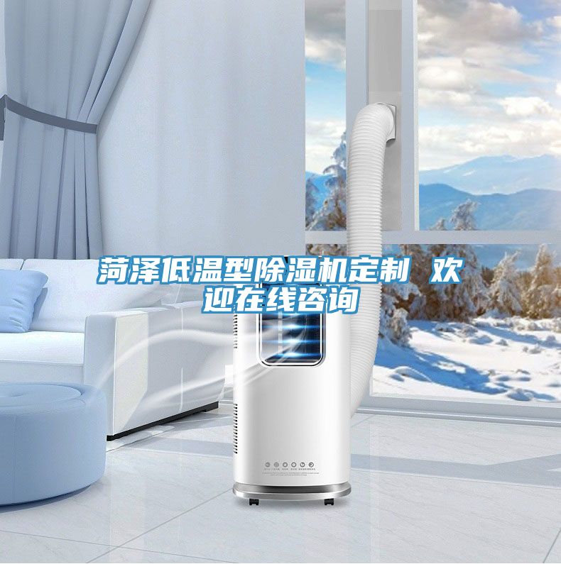 菏泽低温型除湿机定制 欢迎在线咨询