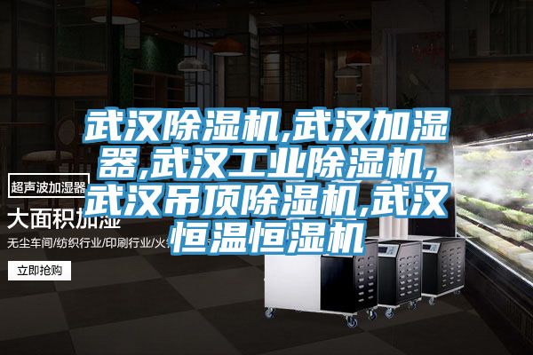 武汉除湿机,武汉加湿器,武汉工业除湿机,武汉吊顶除湿机,武汉恒温恒湿机