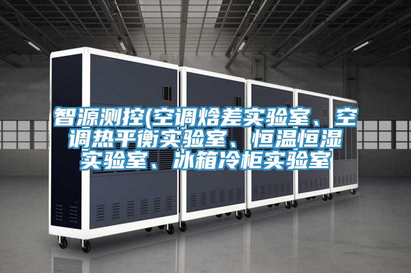 智源测控(空调焓差实验室、空调热平衡实验室、恒温恒湿实验室、冰箱冷柜实验室