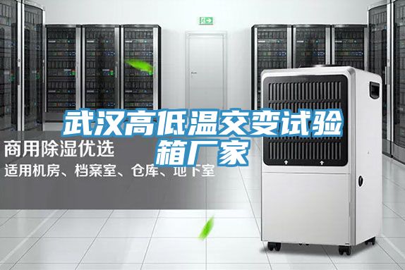 武汉高低温交变试验箱厂家