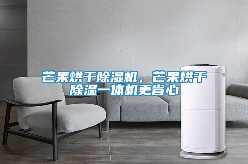 芒果烘干除湿机，芒果烘干除湿一体机更省心