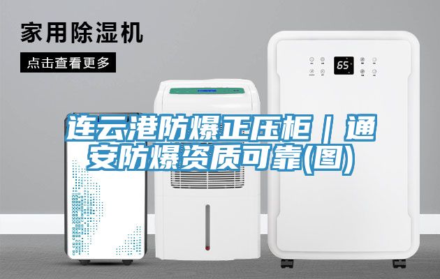 连云港防爆正压柜｜通安防爆资质可靠(图)