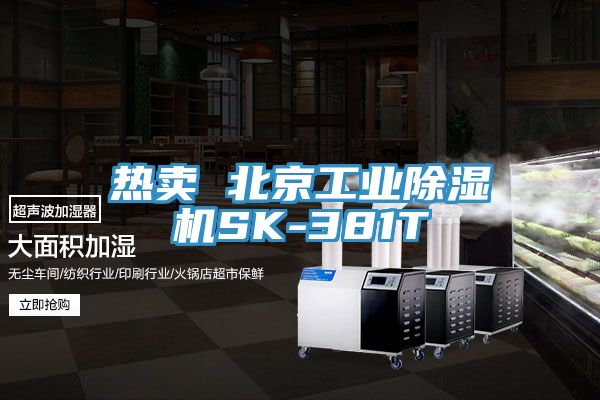 热卖 北京工业除湿机SK-381T