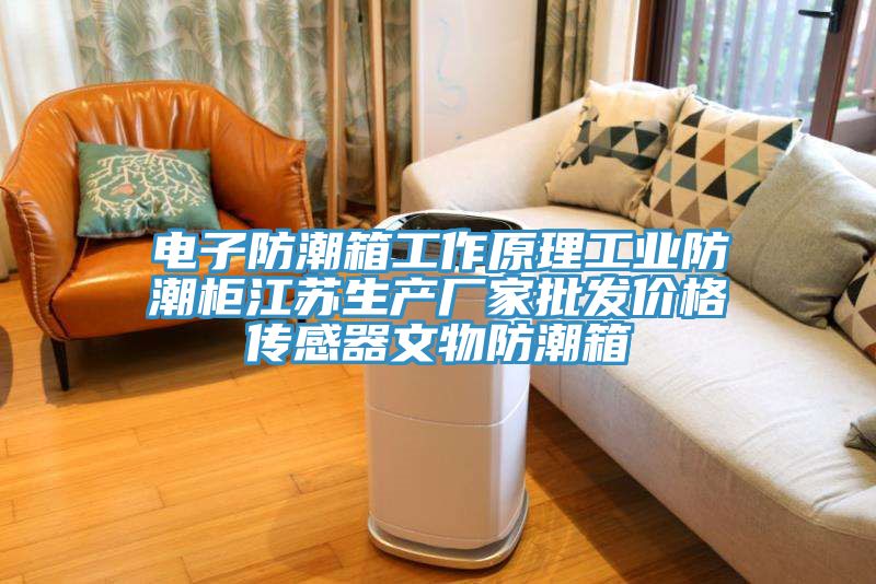 电子防潮箱工作原理工业防潮柜江苏生产厂家批发价格传感器文物防潮箱