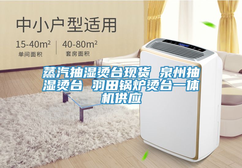 蒸汽抽湿烫台现货 泉州抽湿烫台 羽田锅炉烫台一体机供应