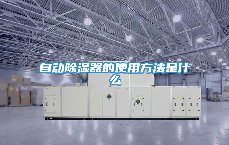 自动除湿器的使用方法是什么