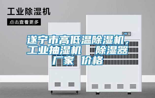 遂宁市高低温除湿机，工业抽湿机  除湿器厂家 价格