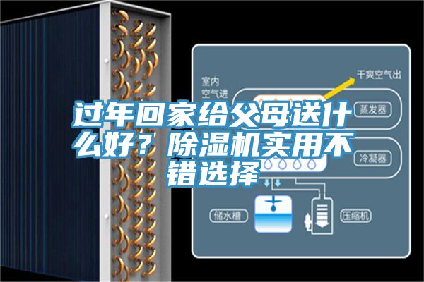 过年回家给父母送什么好？除湿机实用不错选择