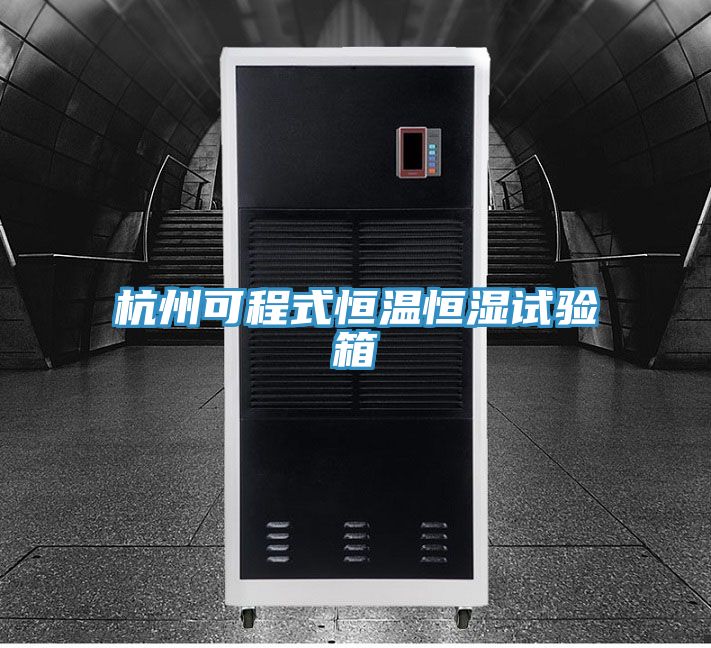 杭州可程式恒温恒湿试验箱