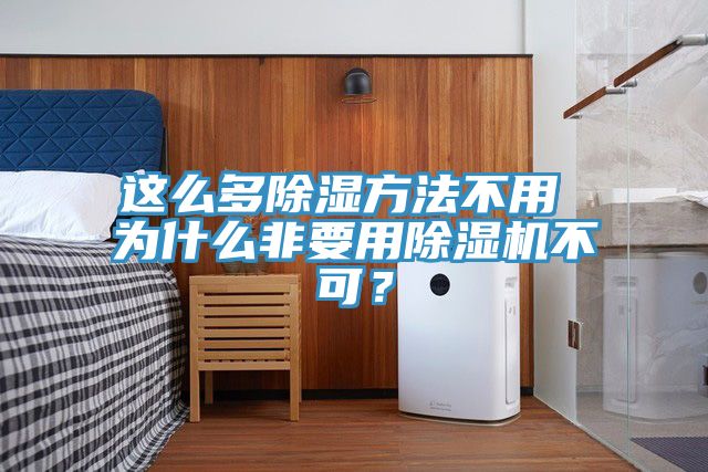 这么多除湿方法不用 为什么非要用除湿机不可？