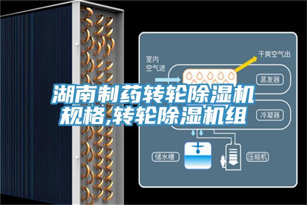 湖南制药转轮除湿机规格,转轮除湿机组
