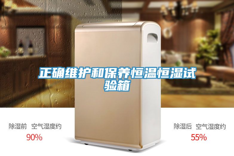 正确维护和保养恒温恒湿试验箱