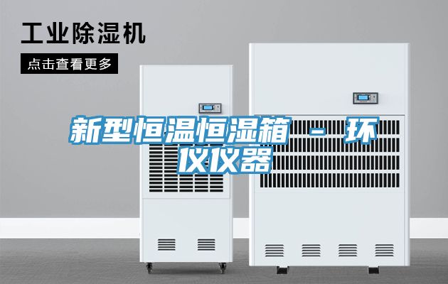 新型恒温恒湿箱 - 环仪仪器