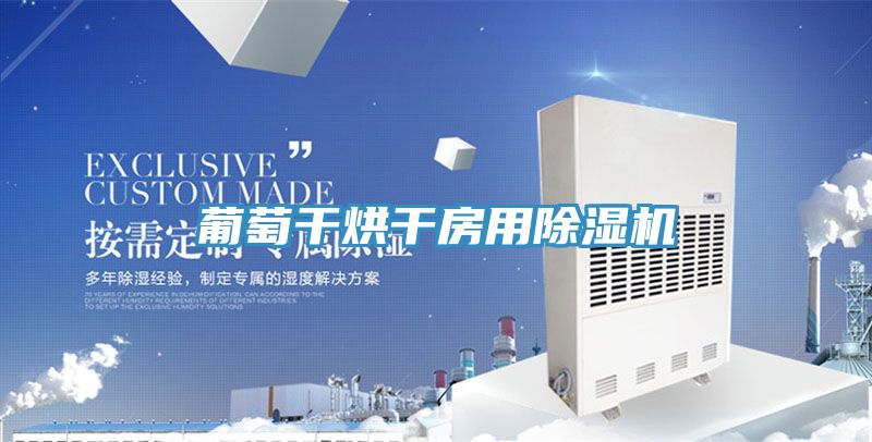 葡萄干烘干房用除湿机